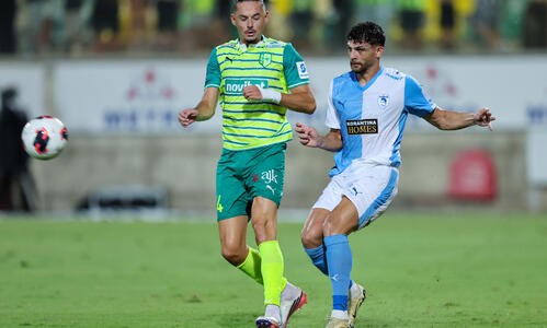 Λαγιούνι - δοκάρι thumb