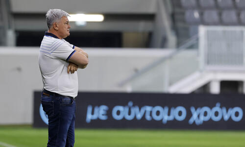 Πέτροβιτς: «Να τα δώσουμε όλα μέχρι το τέλος...» thumb