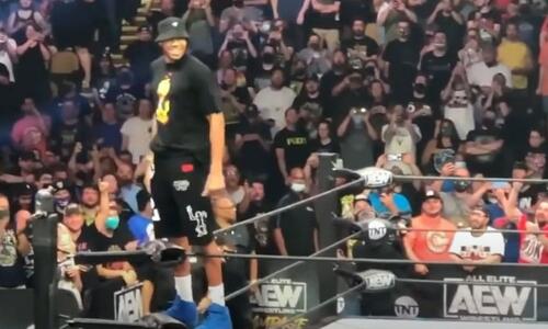 Ο Γιάννης Αντετοκούνμπο πήγε σε αγώνα wrestling και αποθεώθηκε (vid) thumb