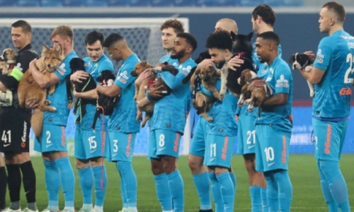 Bγήκαν στον αγωνιστικό χώρο με σκυλάκια προς υιοθεσία thumb