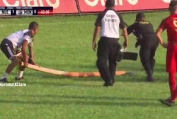 Φίδι σχεδόν δύο μέτρα διέκοψε ποδοσφαιρικό αγώνα! (vid) thumb
